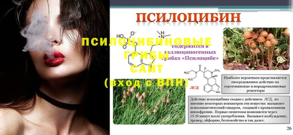 эйфоретик Медногорск
