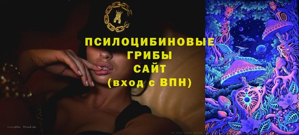 скорость Медвежьегорск