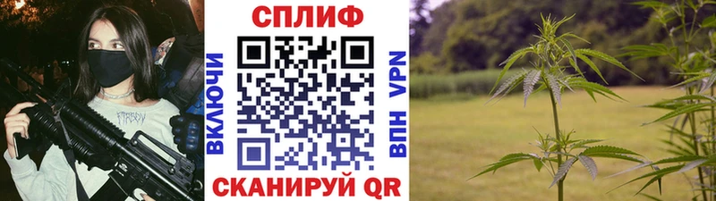 omg рабочий сайт  Томмот  Конопля индика 